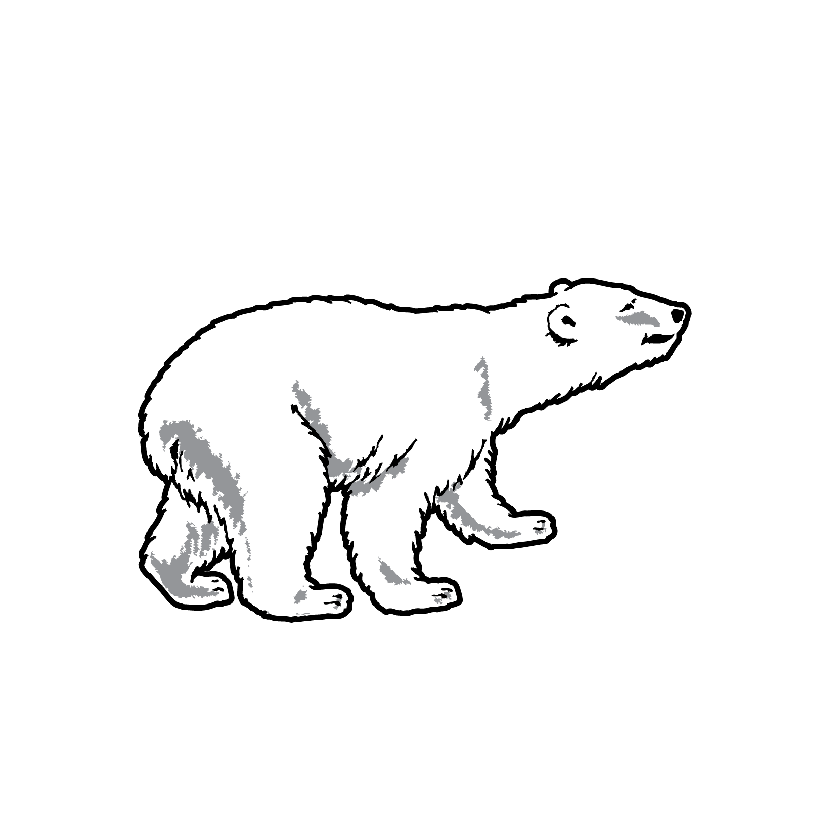 Bjorne Beer